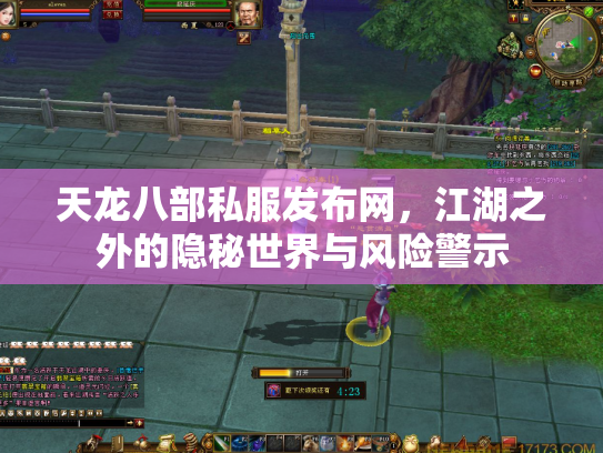 天龙八部私服发布网，江湖之外的隐秘世界与风险警示