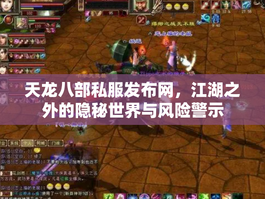 天龙八部私服发布网，江湖之外的隐秘世界与风险警示