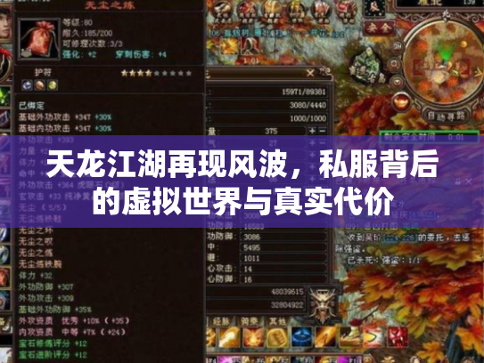 天龙江湖再现风波，私服背后的虚拟世界与真实代价
