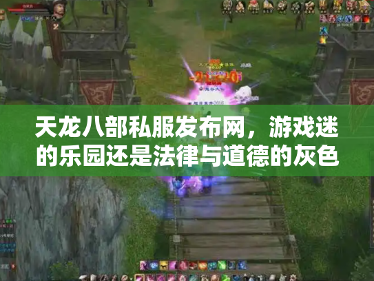 天龙八部私服发布网，游戏迷的乐园还是法律与道德的灰色地带？