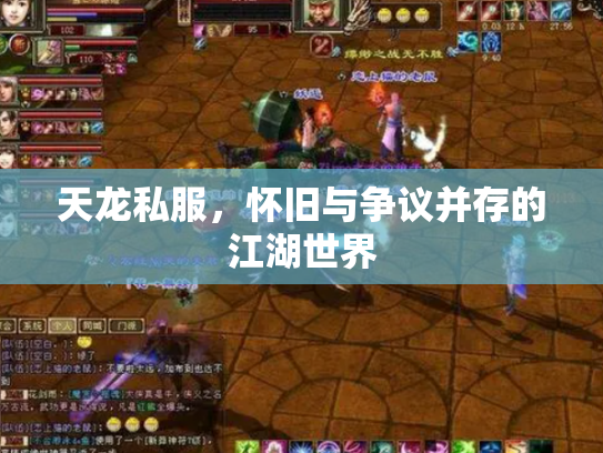 天龙私服，怀旧与争议并存的江湖世界