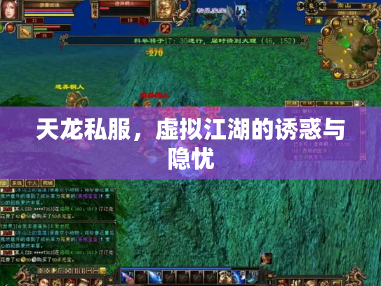 天龙私服，虚拟江湖的诱惑与隐忧