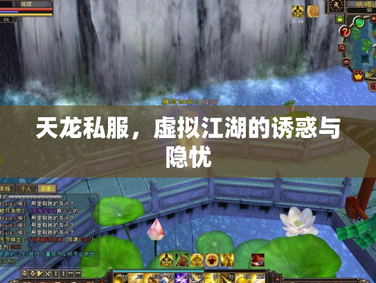 天龙私服，虚拟江湖的诱惑与隐忧