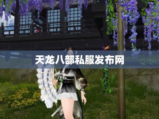 天龙八部私服发布网