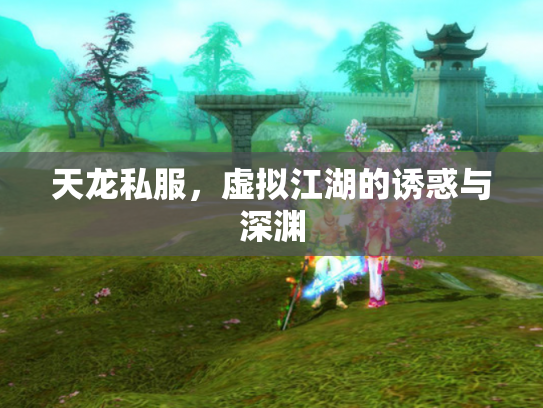 天龙私服，虚拟江湖的诱惑与深渊