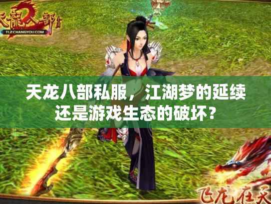 天龙八部私服，江湖梦的延续还是游戏生态的破坏？