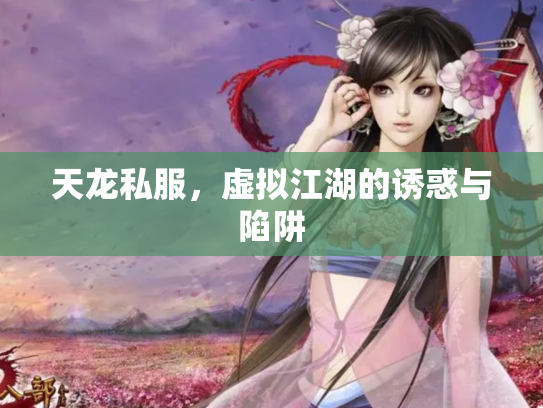 天龙私服，虚拟江湖的诱惑与陷阱