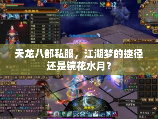天龙八部私服，江湖梦的捷径还是镜花水月？