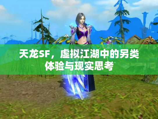 天龙SF，虚拟江湖中的另类体验与现实思考