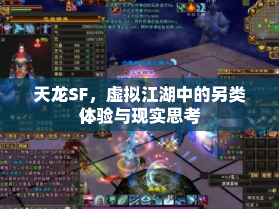 天龙SF，虚拟江湖中的另类体验与现实思考