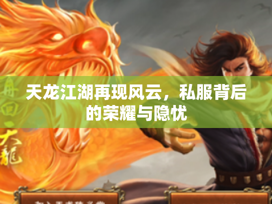 天龙江湖再现风云，私服背后的荣耀与隐忧