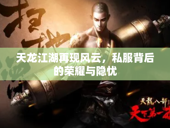天龙江湖再现风云，私服背后的荣耀与隐忧