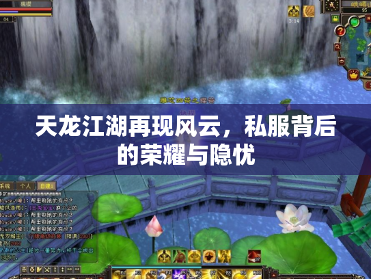 天龙江湖再现风云，私服背后的荣耀与隐忧