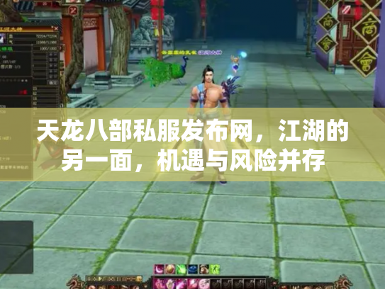 天龙八部私服发布网，江湖的另一面，机遇与风险并存