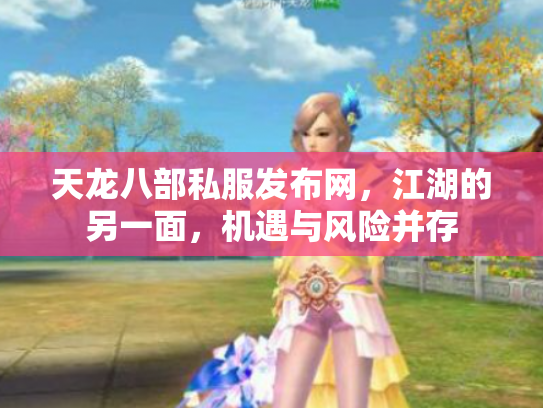 天龙八部私服发布网，江湖的另一面，机遇与风险并存