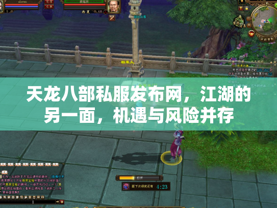 天龙八部私服发布网，江湖的另一面，机遇与风险并存