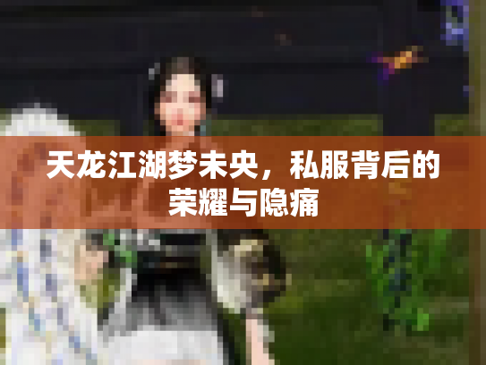天龙江湖梦未央，私服背后的荣耀与隐痛