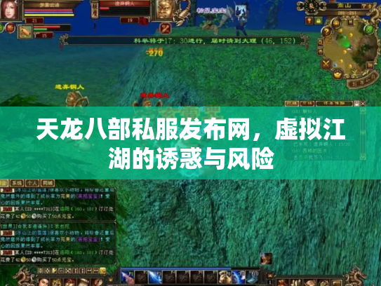 天龙八部私服发布网，虚拟江湖的诱惑与风险