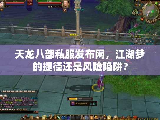天龙八部私服发布网，江湖梦的捷径还是风险陷阱？