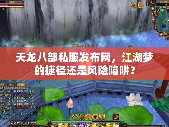 天龙八部私服发布网，江湖梦的捷径还是风险陷阱？