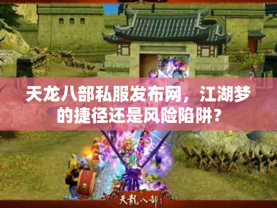 天龙八部私服发布网，江湖梦的捷径还是风险陷阱？