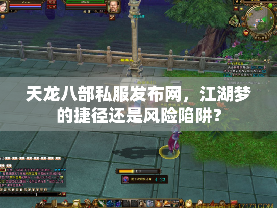 天龙八部私服发布网，江湖梦的捷径还是风险陷阱？