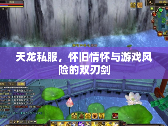 天龙私服，怀旧情怀与游戏风险的双刃剑