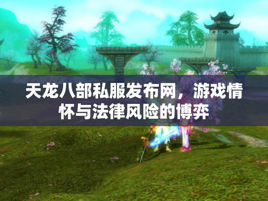 天龙八部私服发布网，游戏情怀与法律风险的博弈