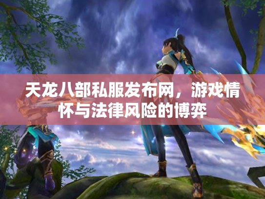天龙八部私服发布网，游戏情怀与法律风险的博弈