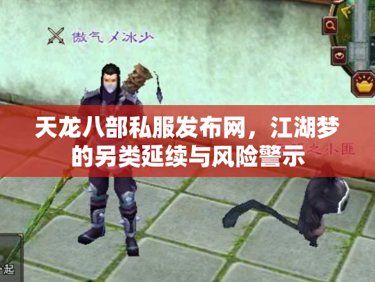 天龙八部私服发布网，江湖梦的另类延续与风险警示