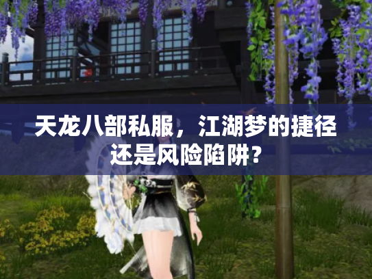 天龙八部私服，江湖梦的捷径还是风险陷阱？