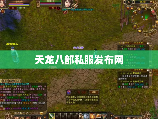 天龙八部私服发布网