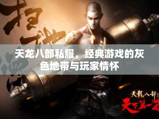 天龙八部私服，经典游戏的灰色地带与玩家情怀