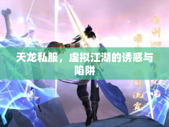 天龙私服，虚拟江湖的诱惑与陷阱