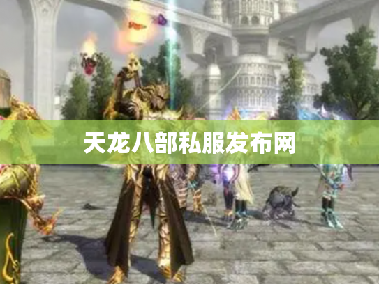 天龙八部私服发布网