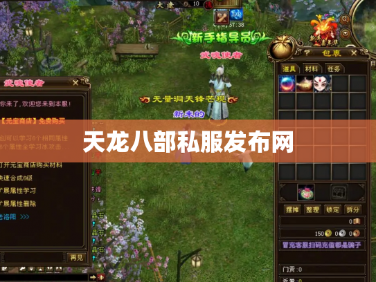 天龙八部私服发布网