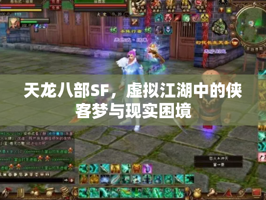 天龙八部SF，虚拟江湖中的侠客梦与现实困境
