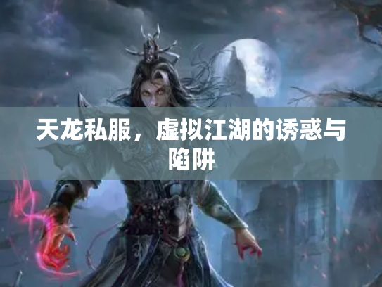天龙私服，虚拟江湖的诱惑与陷阱