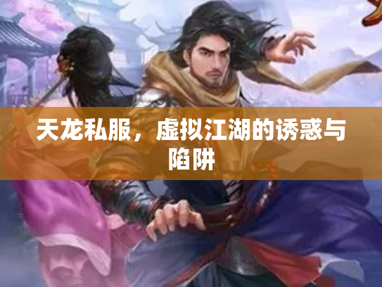 天龙私服，虚拟江湖的诱惑与陷阱