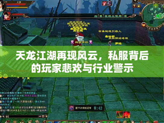天龙江湖再现风云，私服背后的玩家悲欢与行业警示