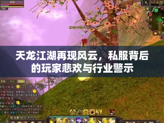 天龙江湖再现风云，私服背后的玩家悲欢与行业警示