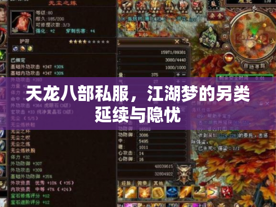 天龙八部私服，江湖梦的另类延续与隐忧