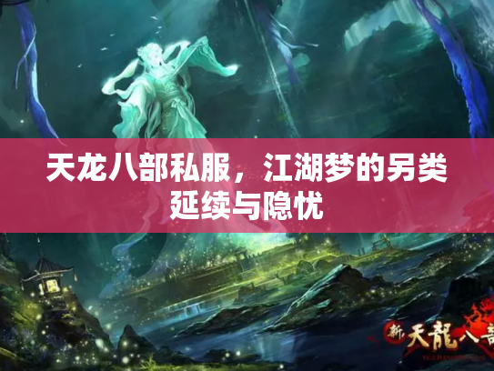 天龙八部私服，江湖梦的另类延续与隐忧