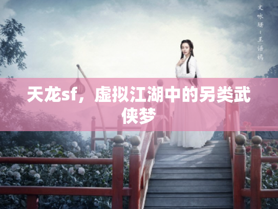 天龙sf，虚拟江湖中的另类武侠梦