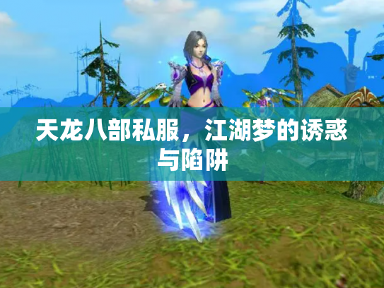 天龙八部私服，江湖梦的诱惑与陷阱