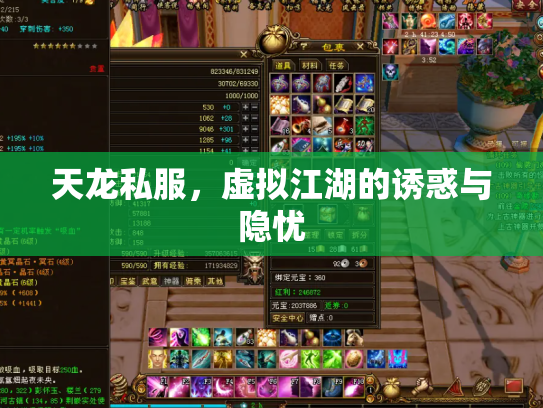 天龙私服，虚拟江湖的诱惑与隐忧