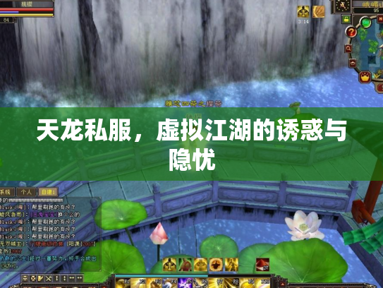 天龙私服，虚拟江湖的诱惑与隐忧