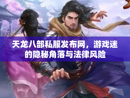 天龙八部私服发布网，游戏迷的隐秘角落与法律风险