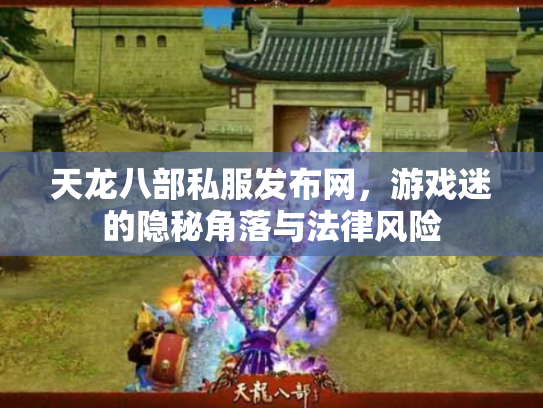 天龙八部私服发布网，游戏迷的隐秘角落与法律风险