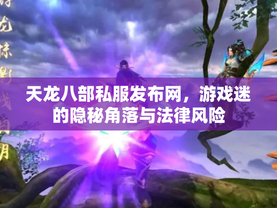 天龙八部私服发布网，游戏迷的隐秘角落与法律风险